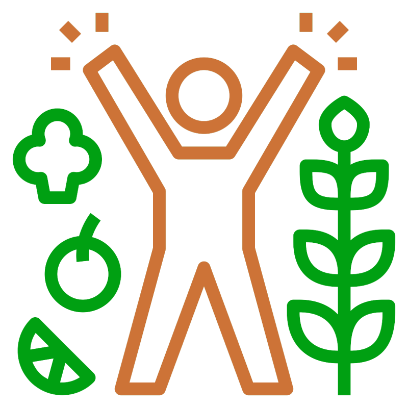 Знаки здорового образа жизни