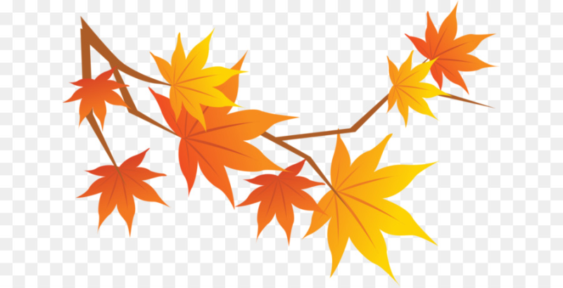 Осенние листья на прозрачном фоне