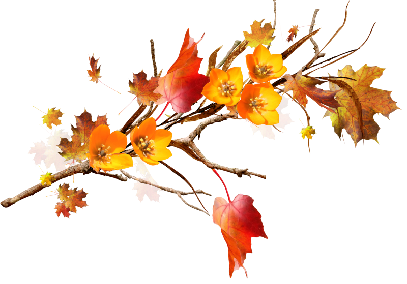 Ветка с осенними листьями