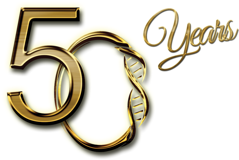 Цифра 50 Золотая