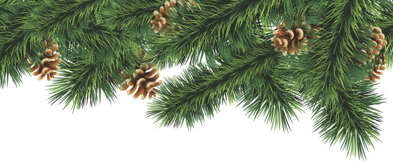 Веточка елки