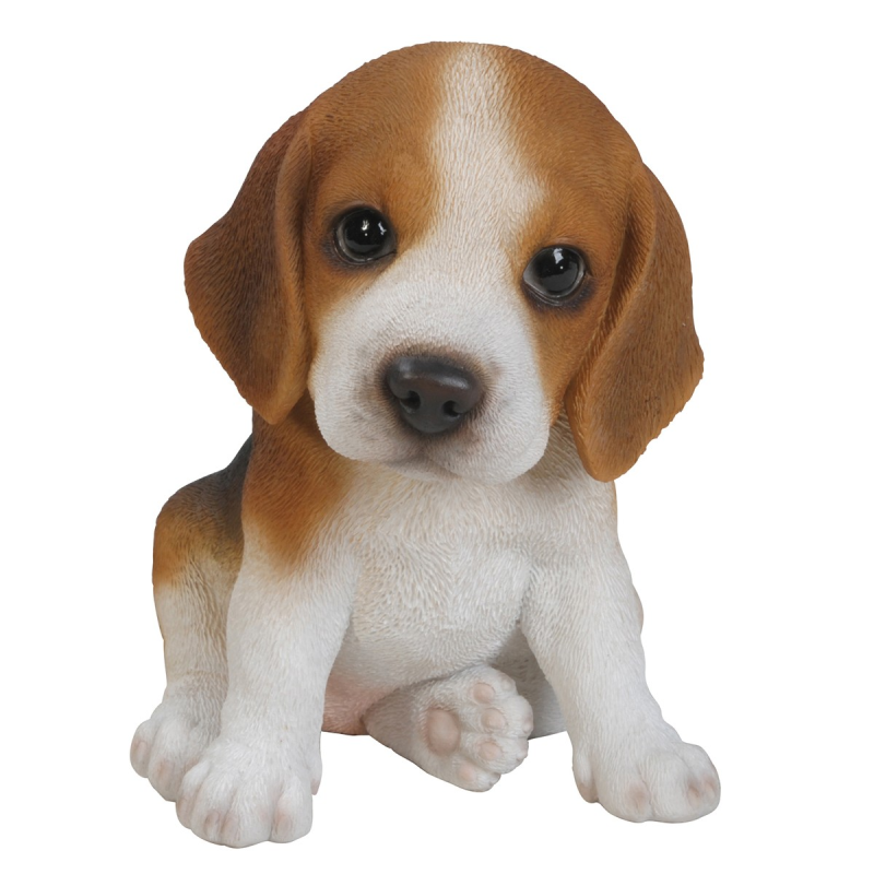 Бигль Пуппи