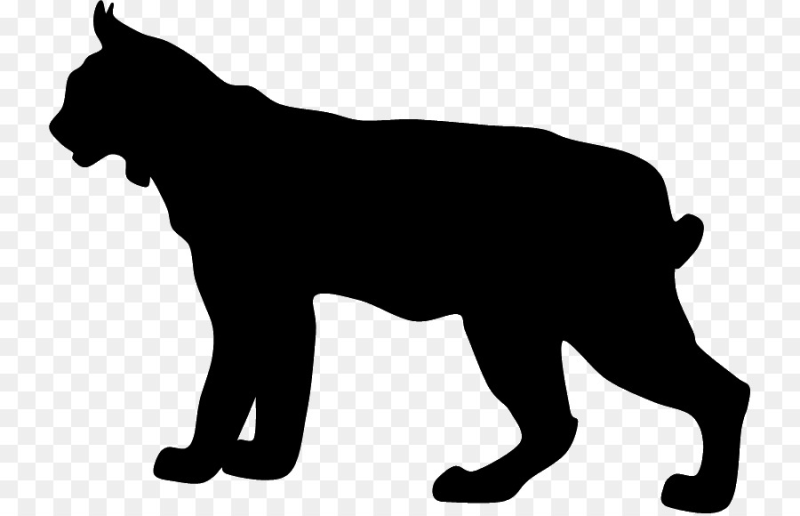 Тени животных