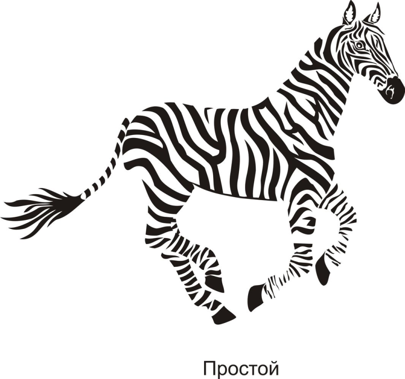 Зебра на прозрачном фоне