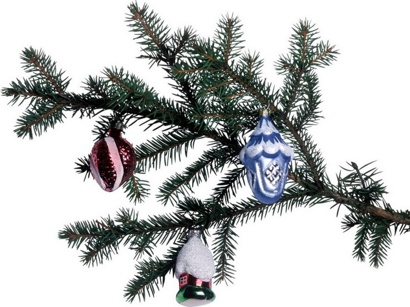 Новогодние еловые ветки