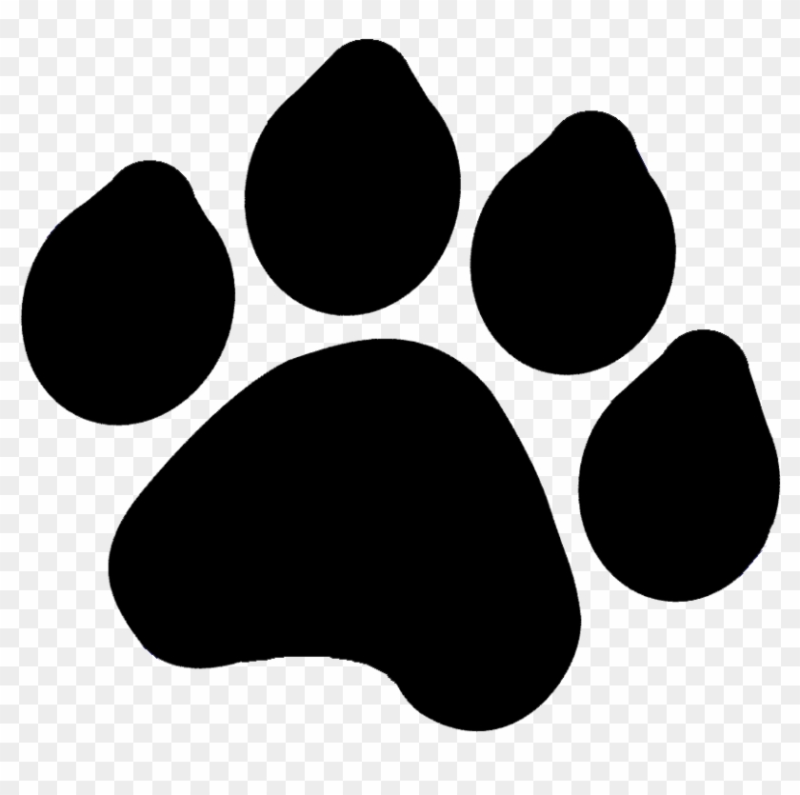 След собаки