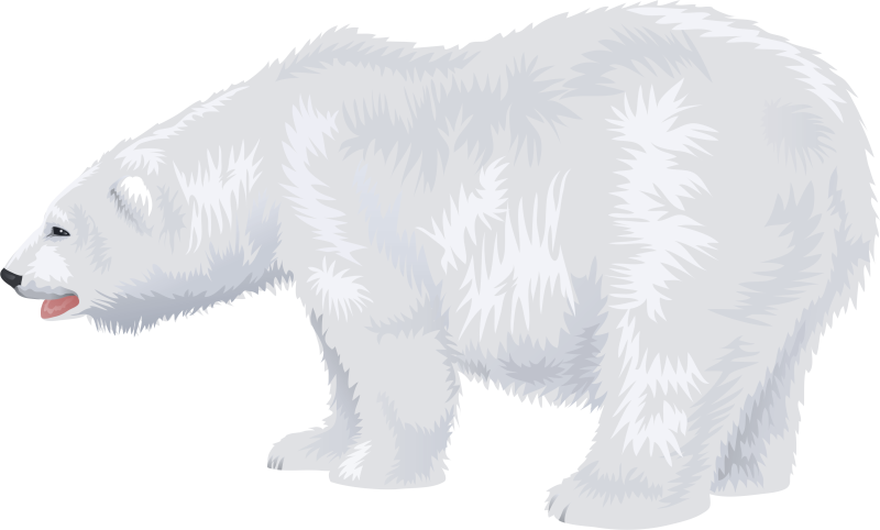 Белый медведь мультяшный