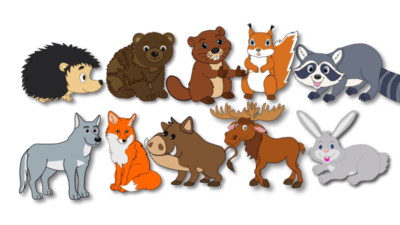 Лесные животные для детей