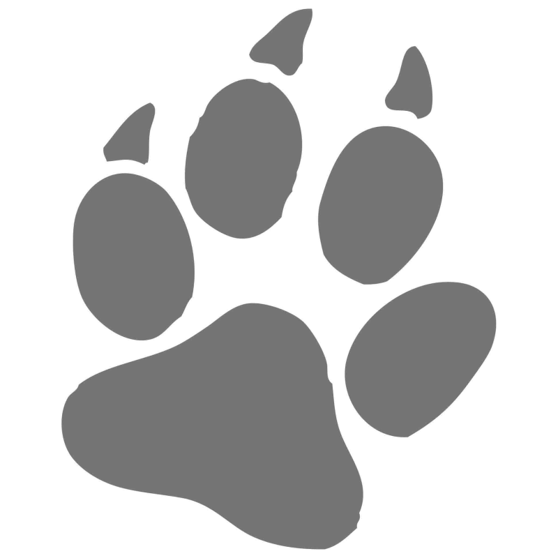 Лапки рисунок