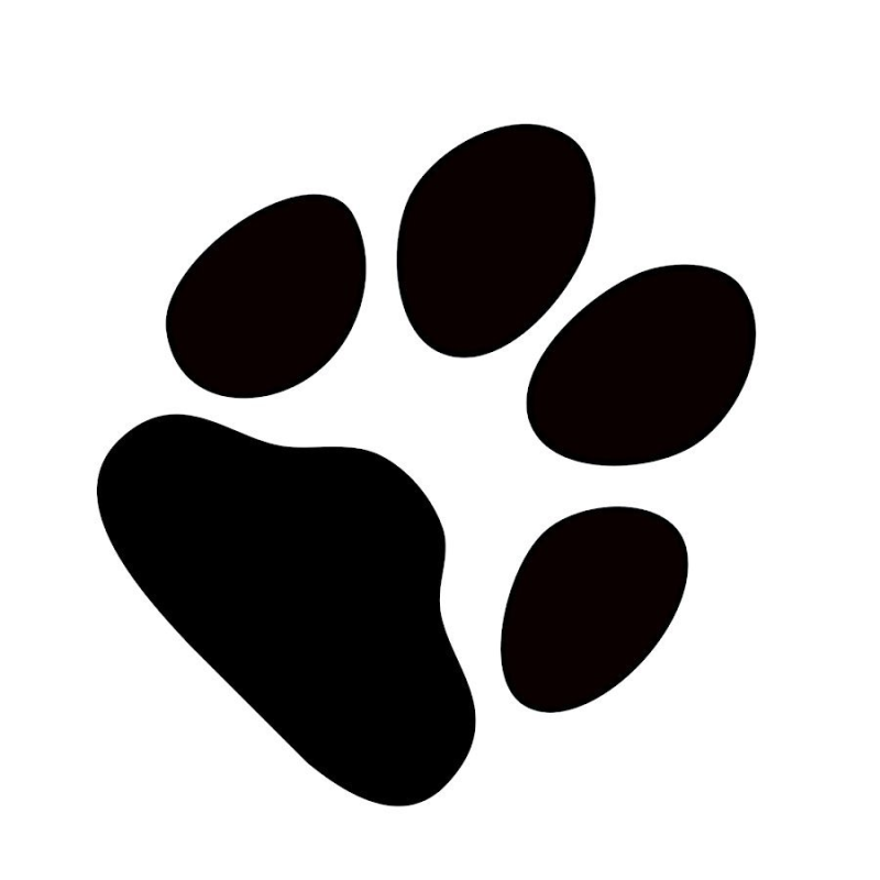 След собаки