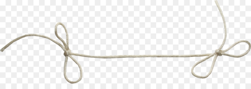 Шнурки на прозрачном фоне