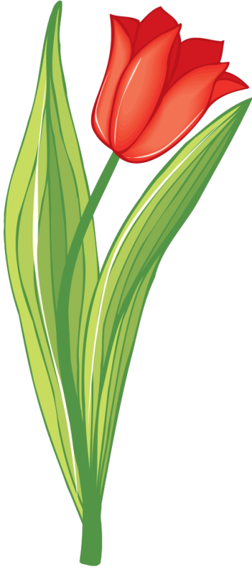 Тюльпан мультяшный