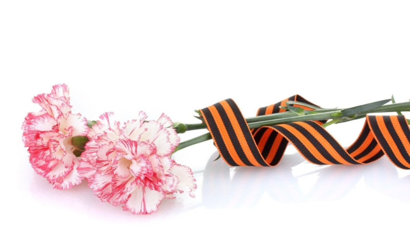 Георгиевская ленточка с гвоздикой