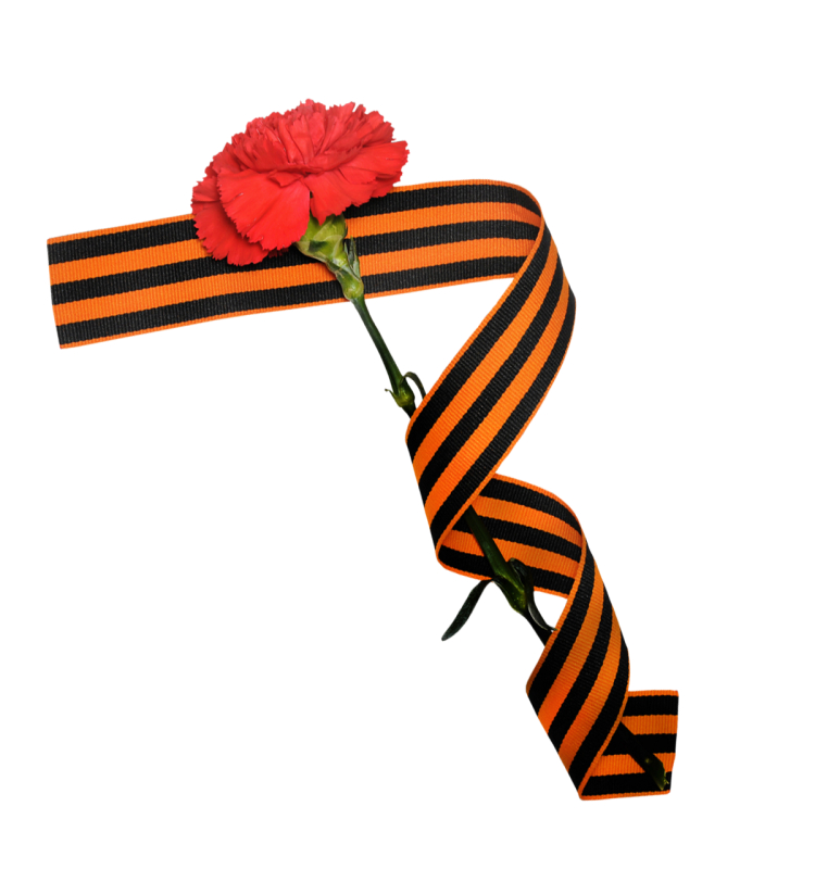 Гвоздика с георгиевской