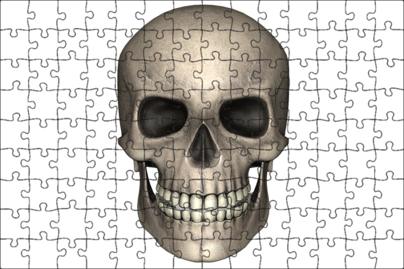 "Череп 3d" da147