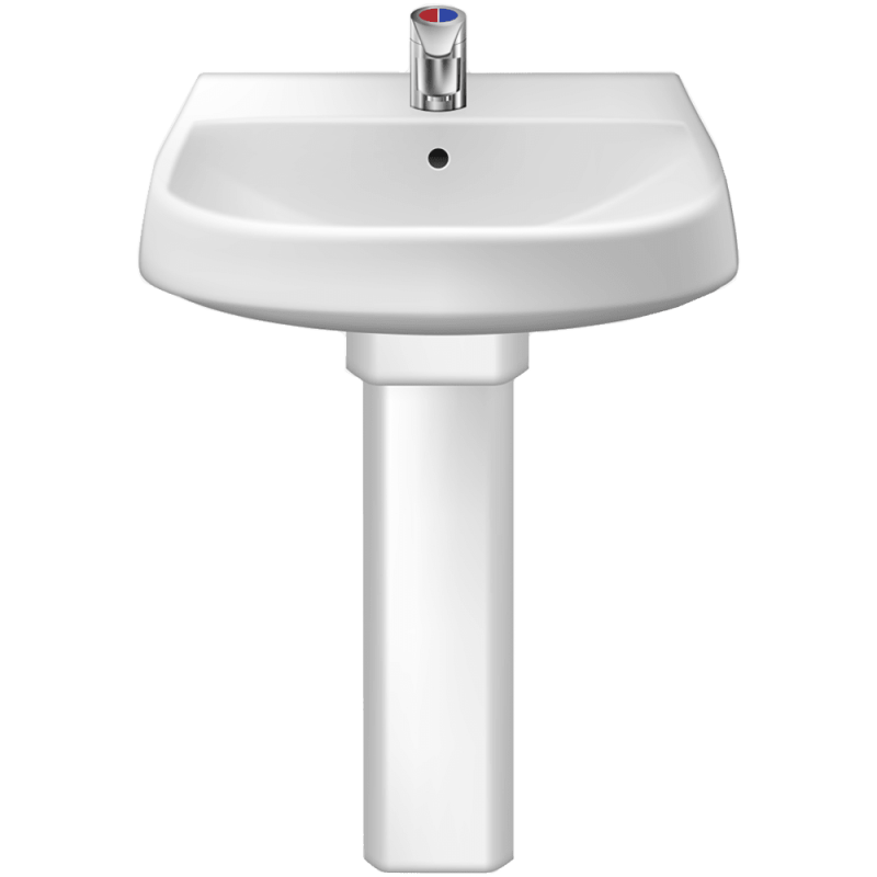 Раковина на белом фоне