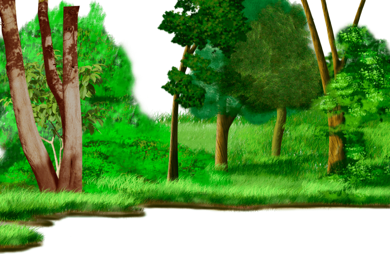 Рисунок леса для детей