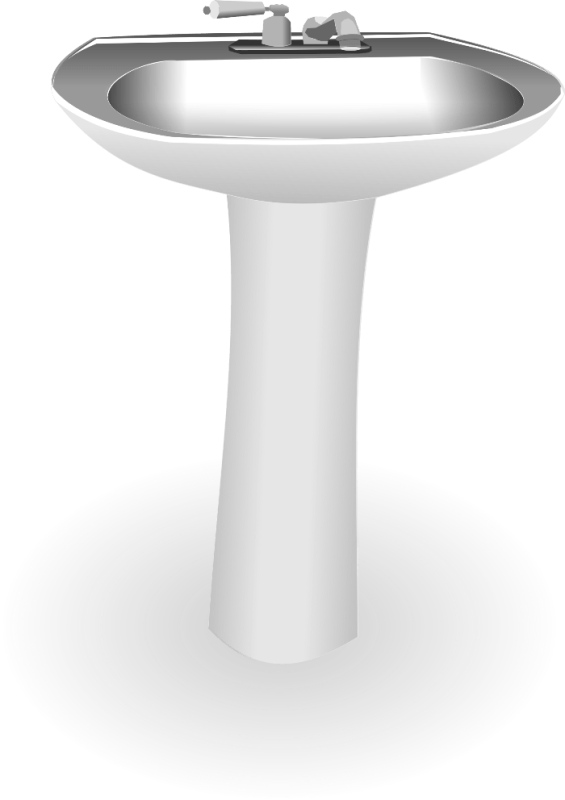 Раковина на белом фоне