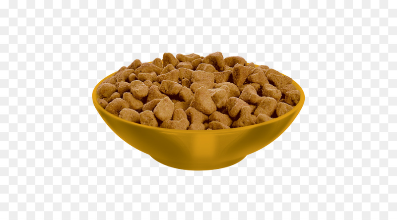 Миска с кормом