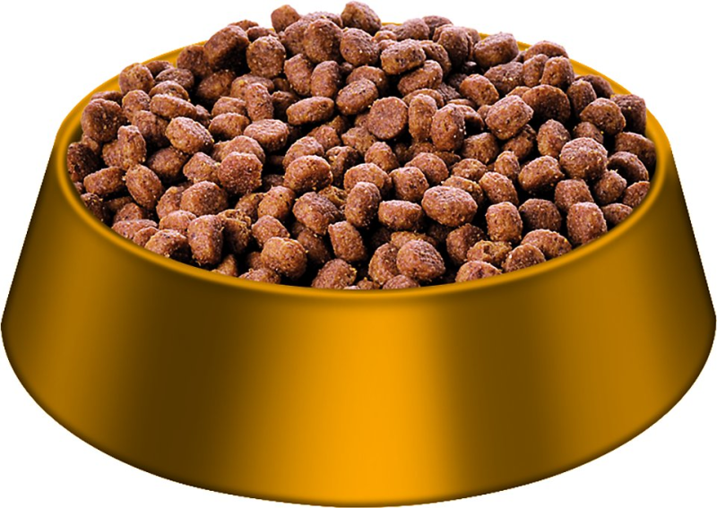 Сухой корм в миске