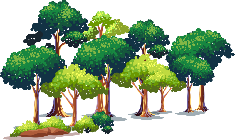 Дерево на прозрачном фоне