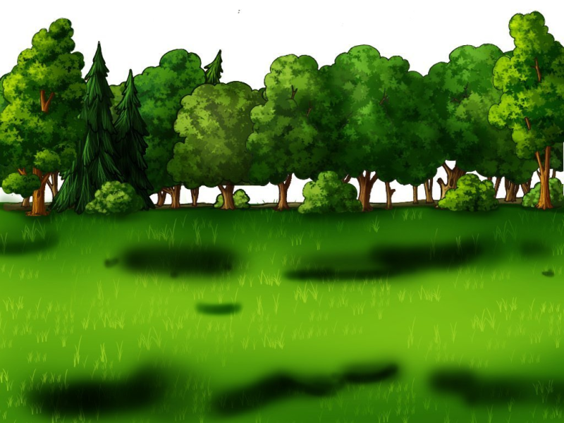 Лес на прозрачном фоне