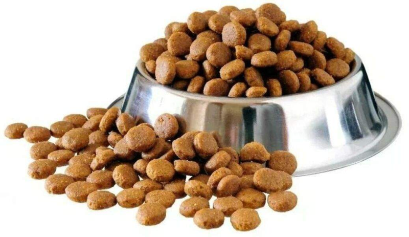 Тарелка с кормом