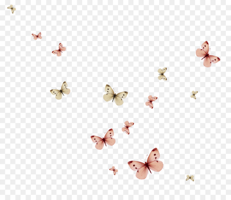 Бабочки на прозрачном фоне для фотошопа