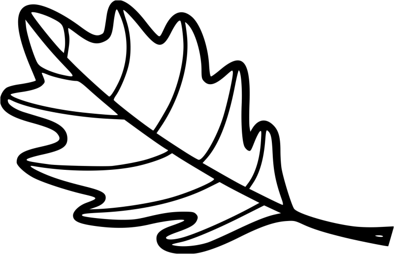 Листья раскраска