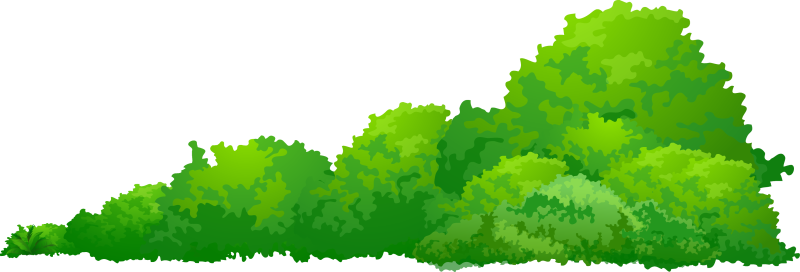 Куст вектор