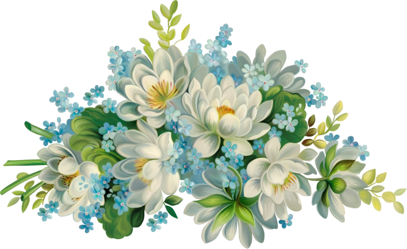 Картинки цветы на прозрачном фоне