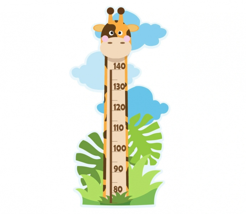 Измеритель роста для детей
