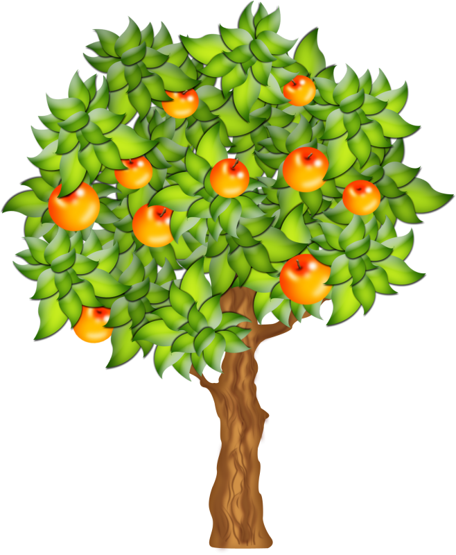 Пирамидальная яблоня