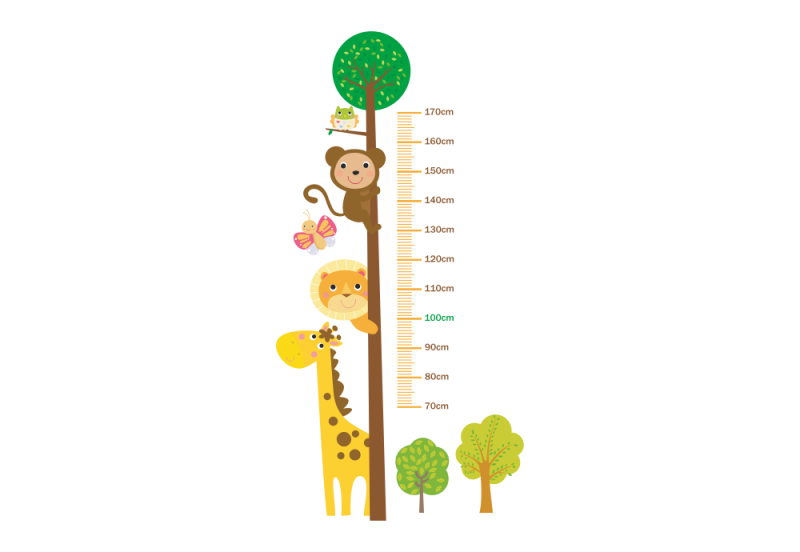 Ростомер для детей