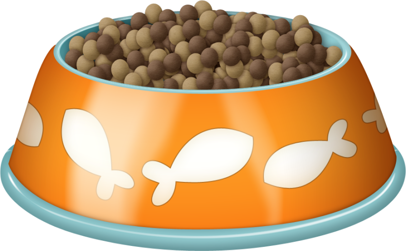 Миска с кормом для кошек