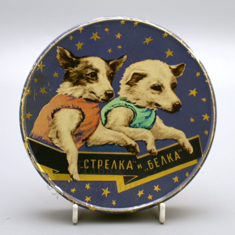 Белка и стрелка с медалями