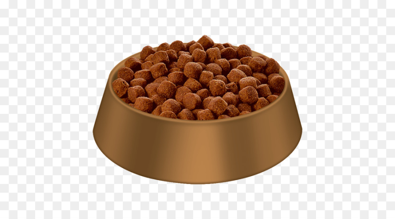 Миска с кормом для кошек