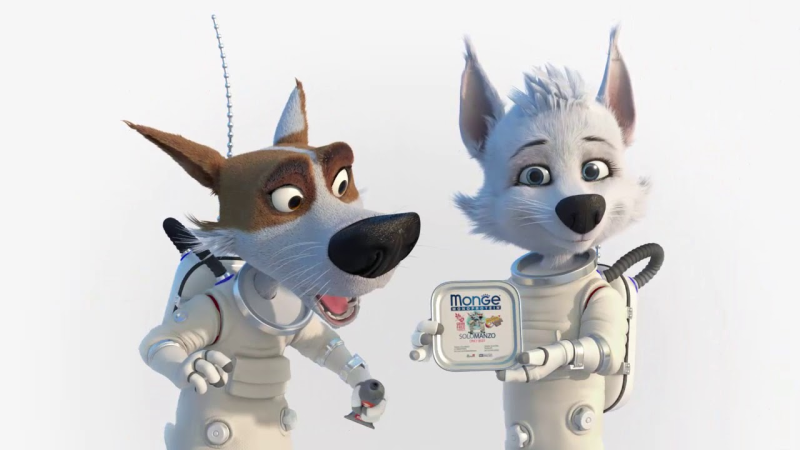 Белка и стрелка 2009