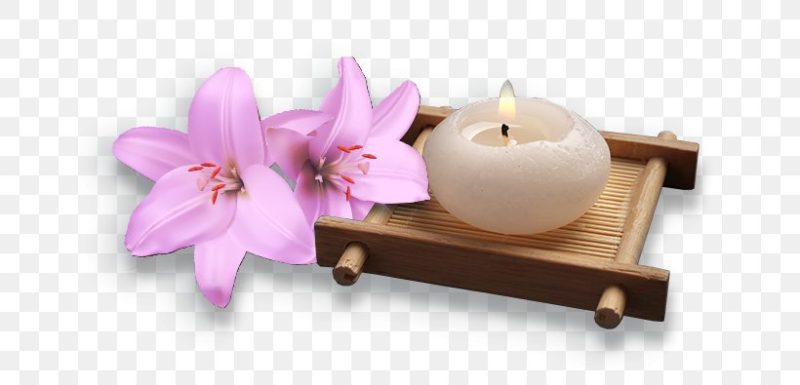 Spa на белом фоне