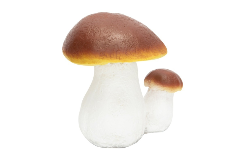 Боровик и белый гриб для детей