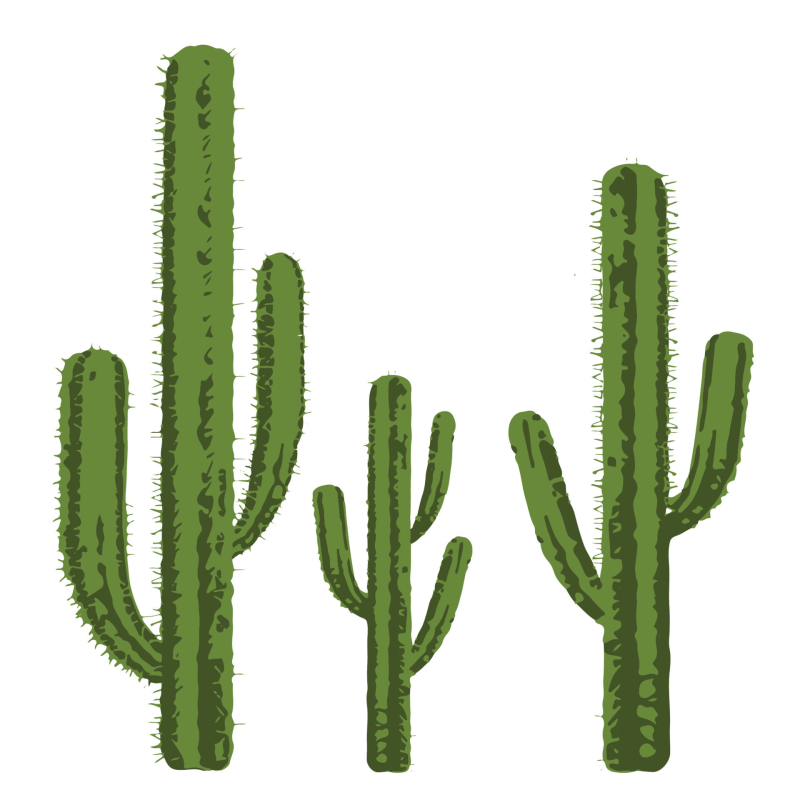 Cactus PNG
