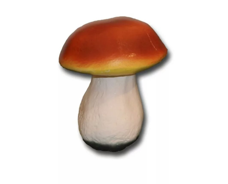 Гриб Боровик для детей