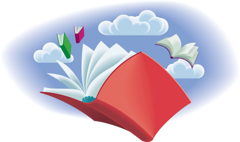 Книги летят