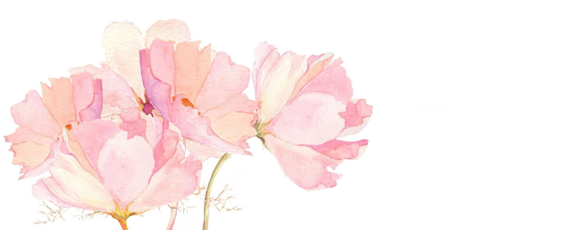 Нежный цветок