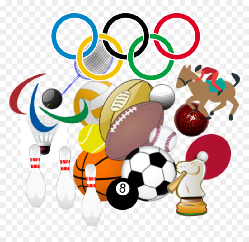 Физкультурно-спортивная направленность