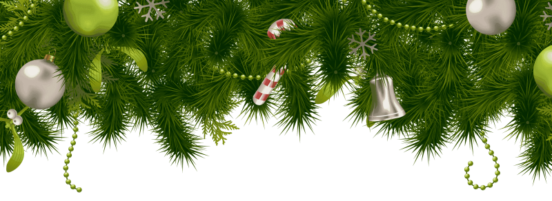 Новогодние еловые ветки