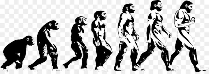 Эволюция Дарвина