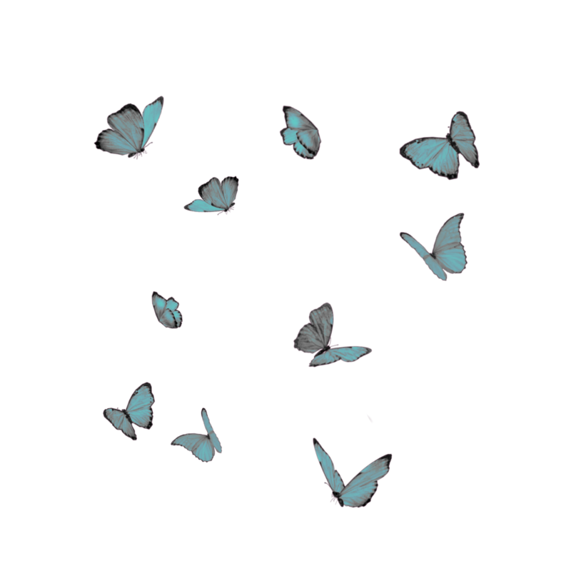 Бабочки на белом фоне Эстетика