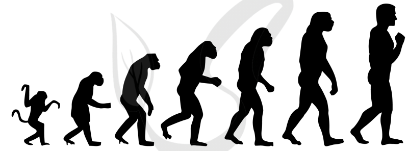 Чарльз Дарвин теория эволюции