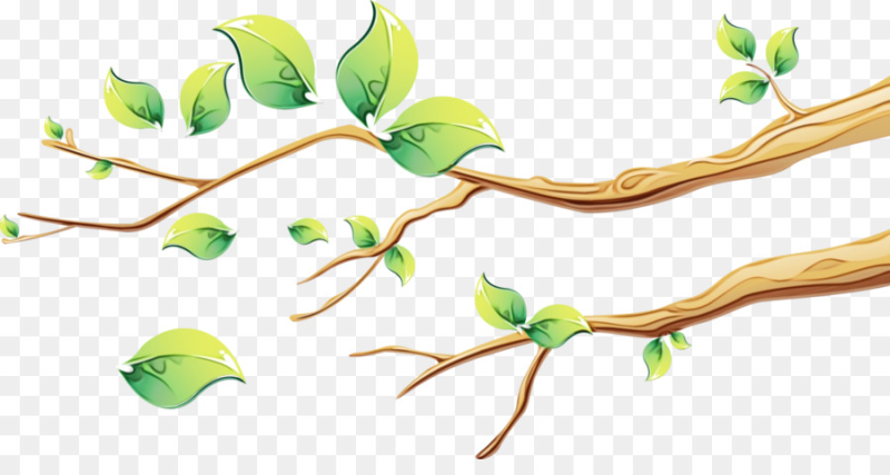 Нарисовать ветку